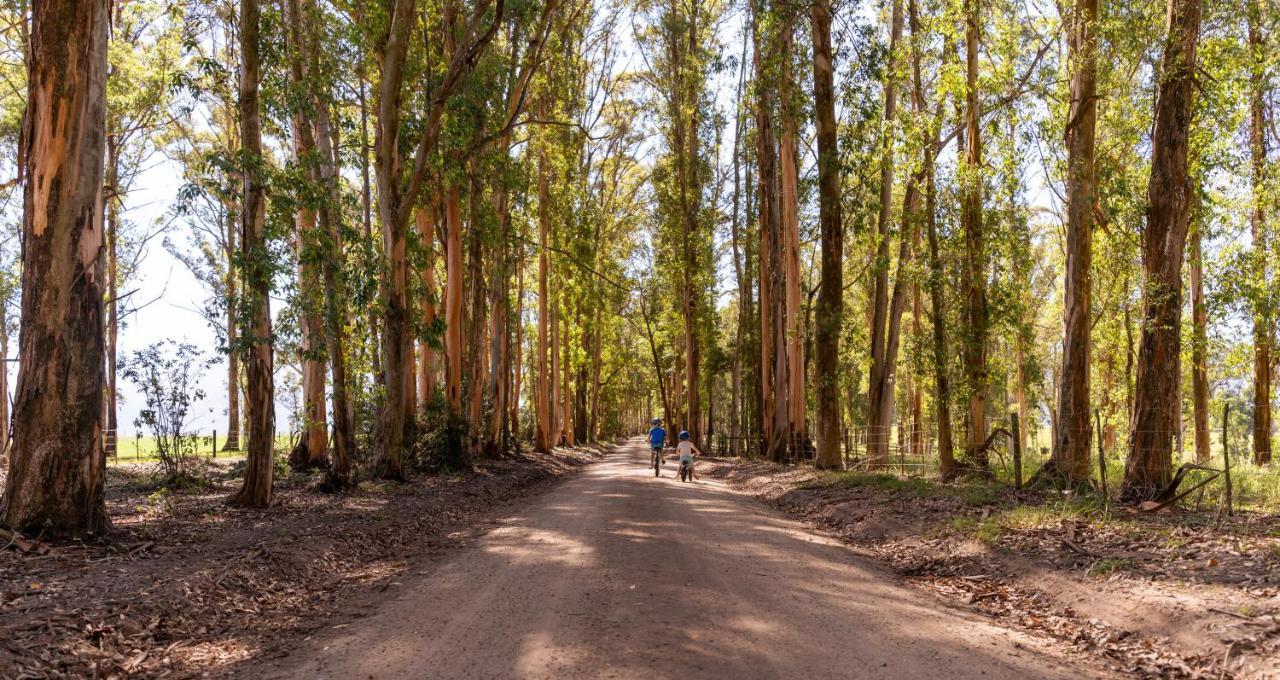 Africamps At Oakhurst Wildernis Exterior photo
